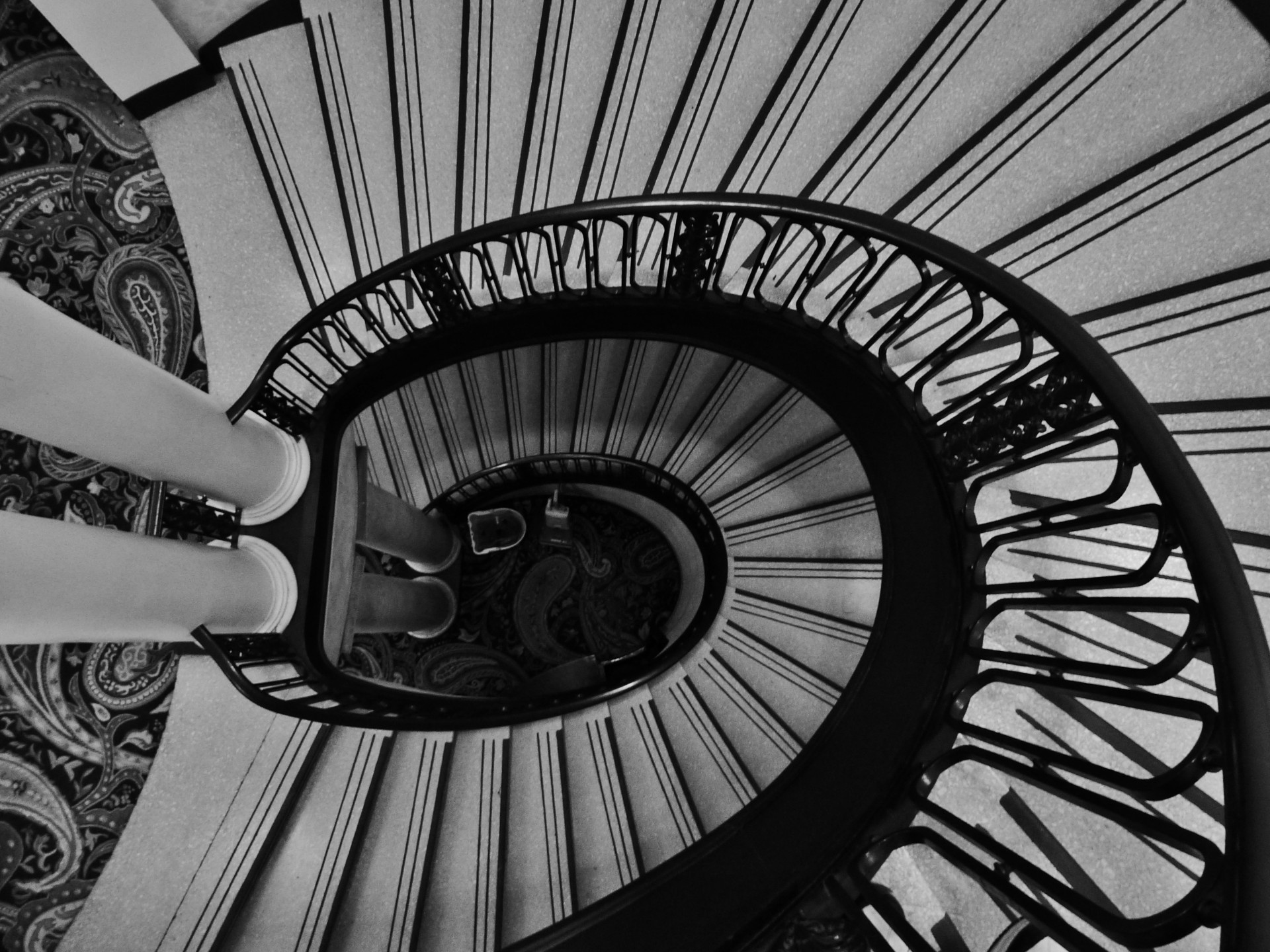spiral stair stairs free photo