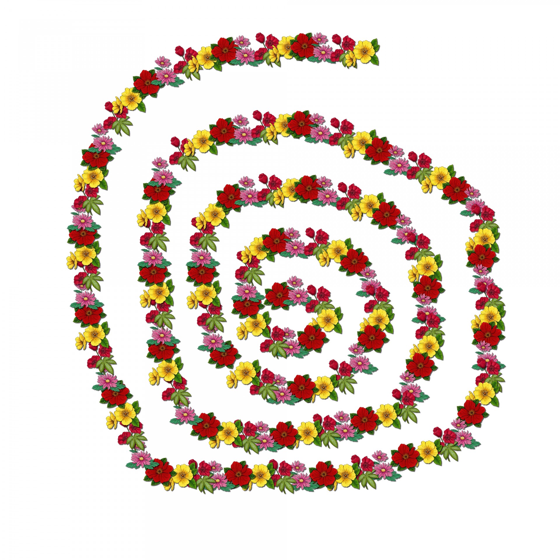 spiral flower pattern free photo