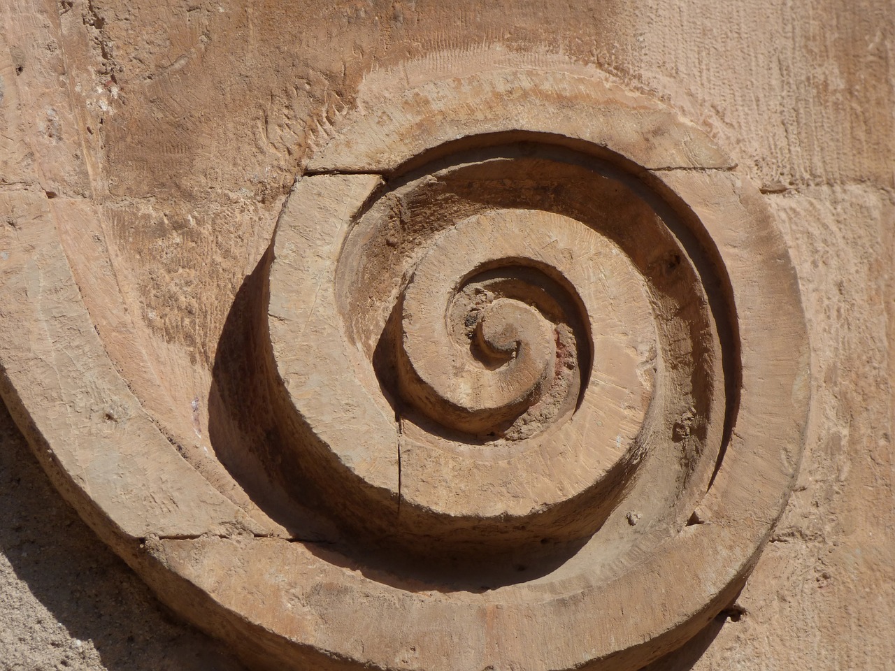 spiral conch carved stone free photo