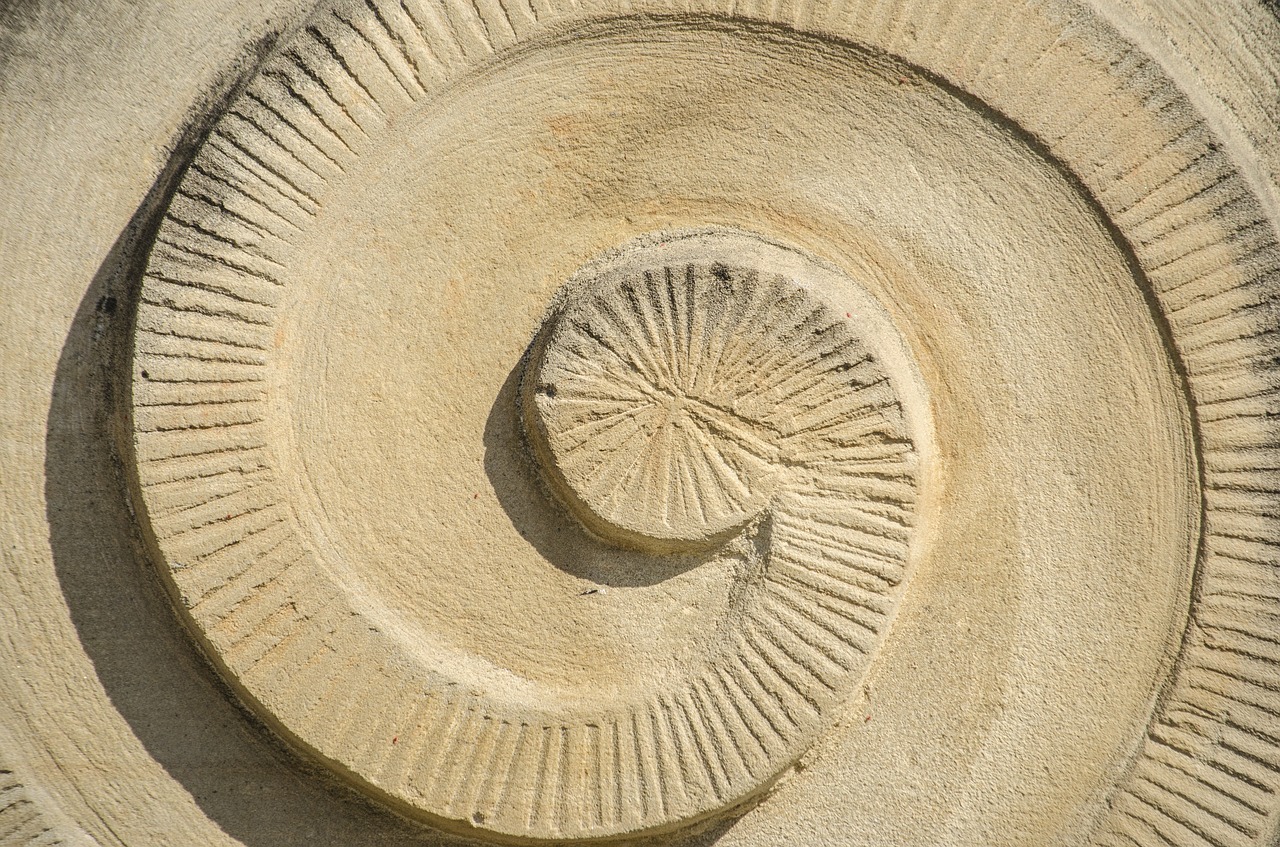 spiral texture structure free photo