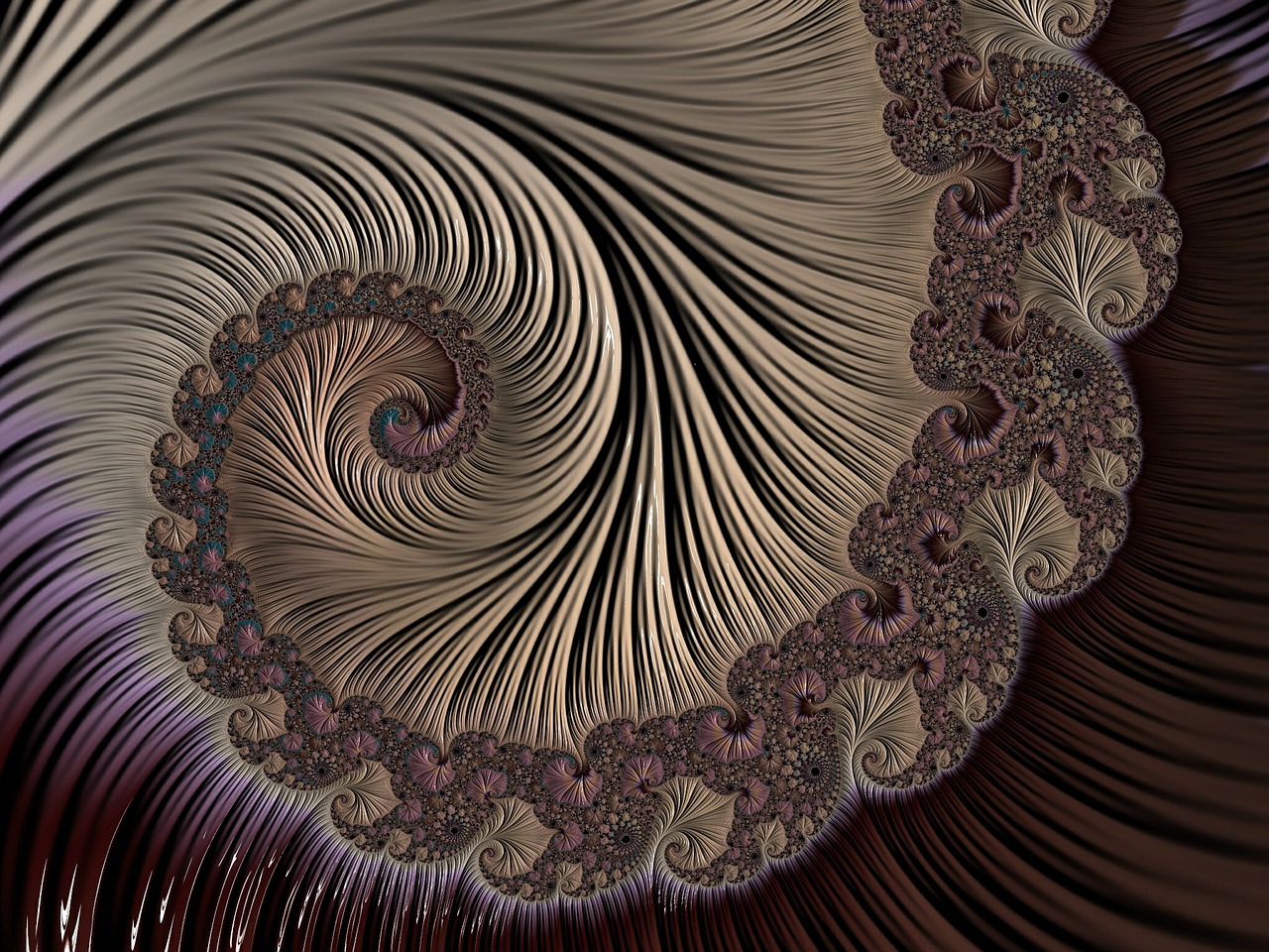 spiral fractal abstract free photo