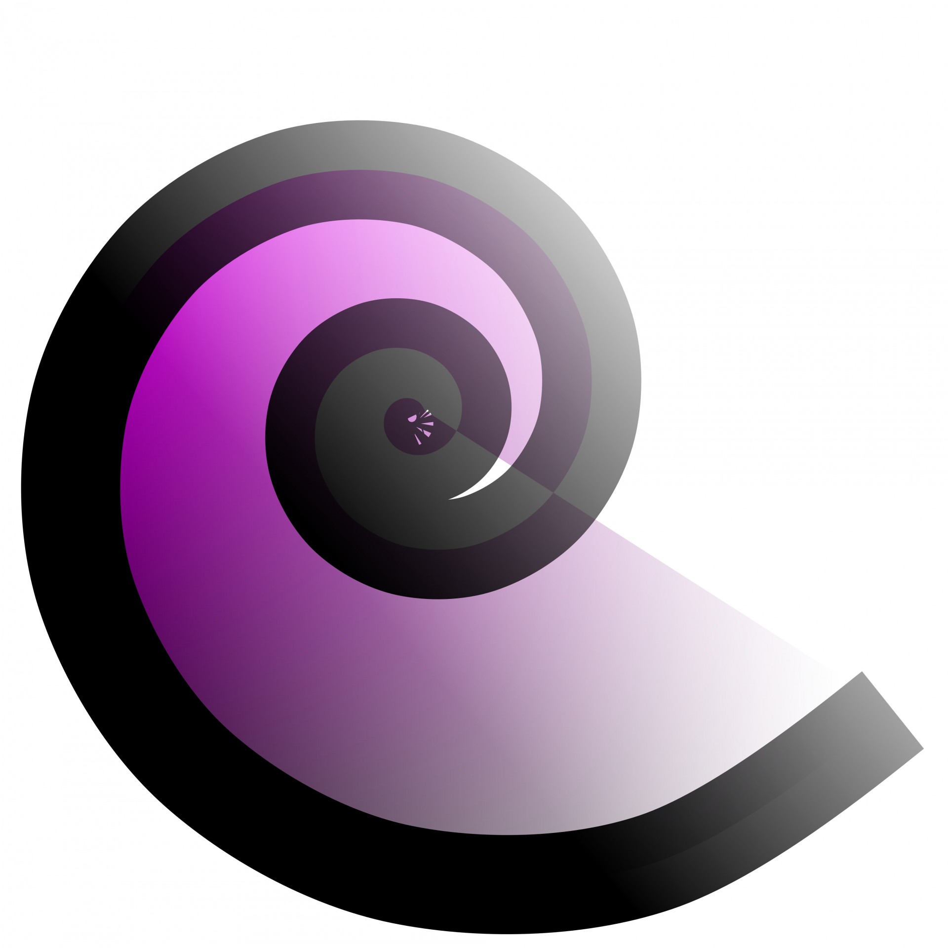 black violet spiral free photo