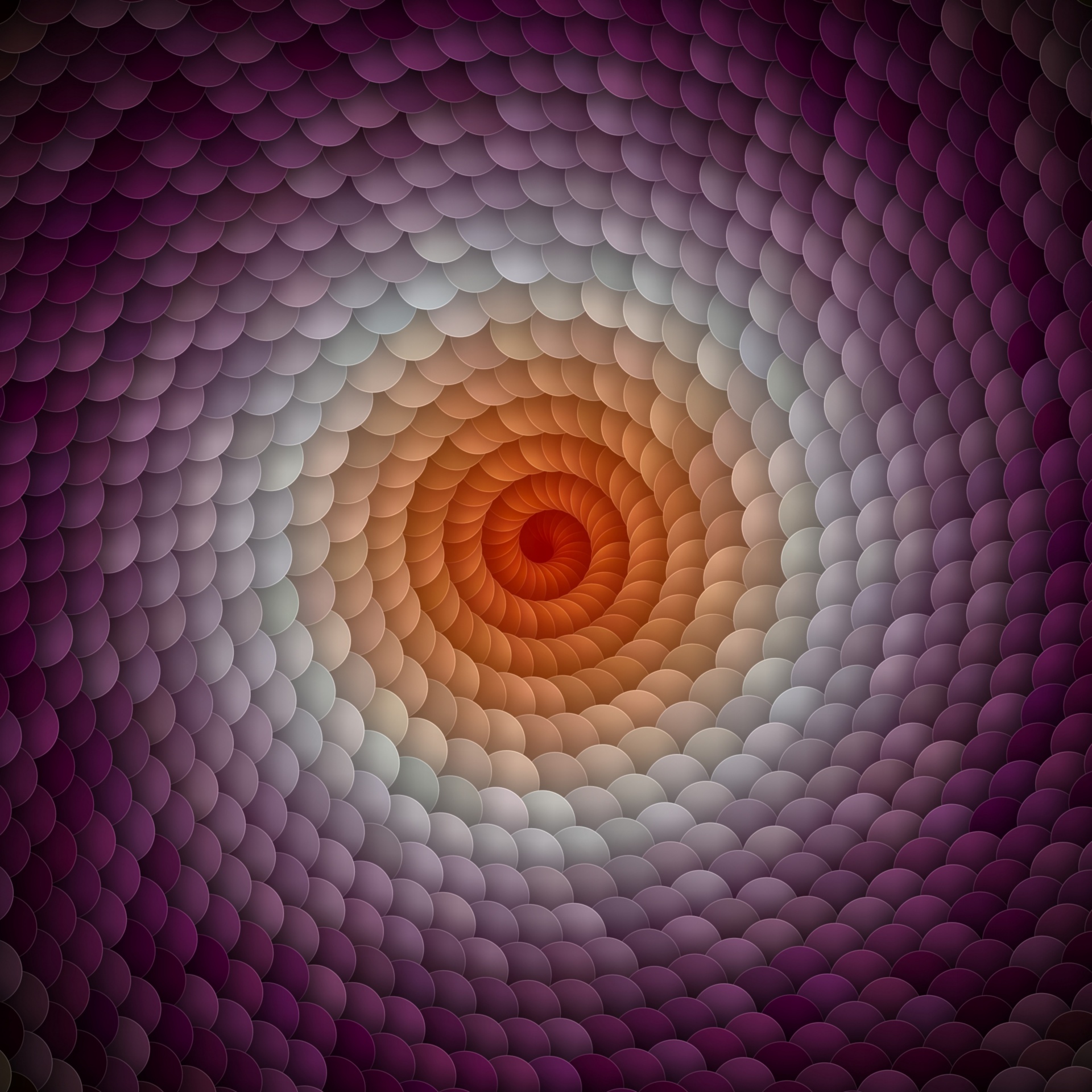 wallpaper color spiral free photo