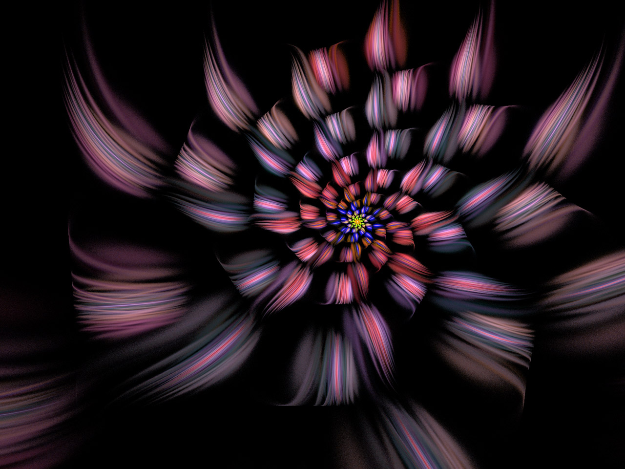 spiral flower fractal free photo