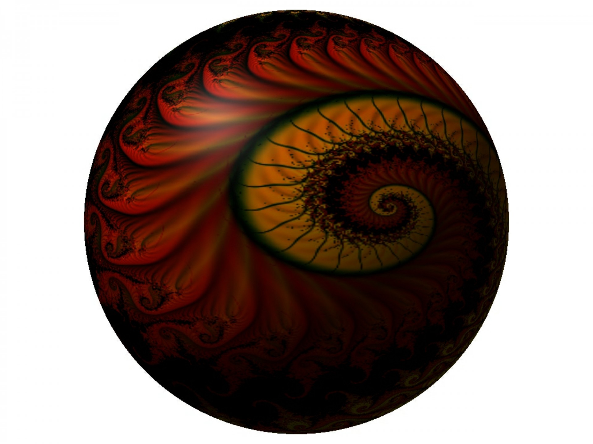 3d spiral color free photo