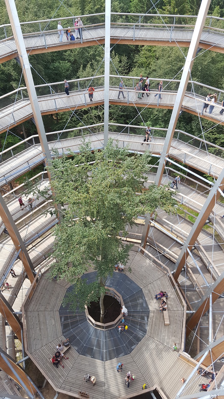 spiral staircase treetop path height free photo