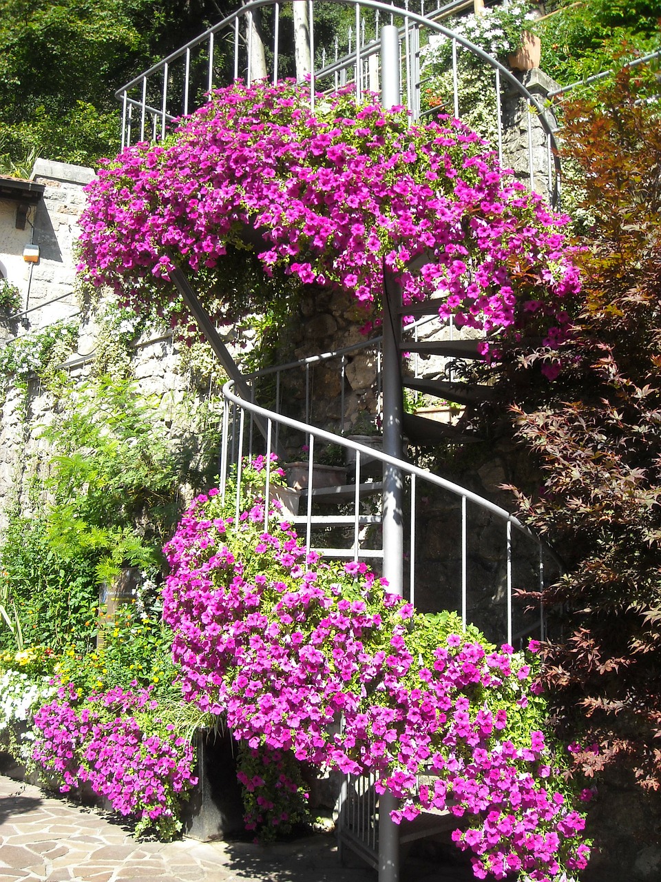 spiral staircase italy flowers free photo