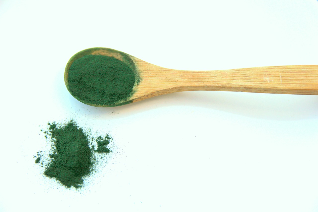 spirulina alga vegetable proteins free photo