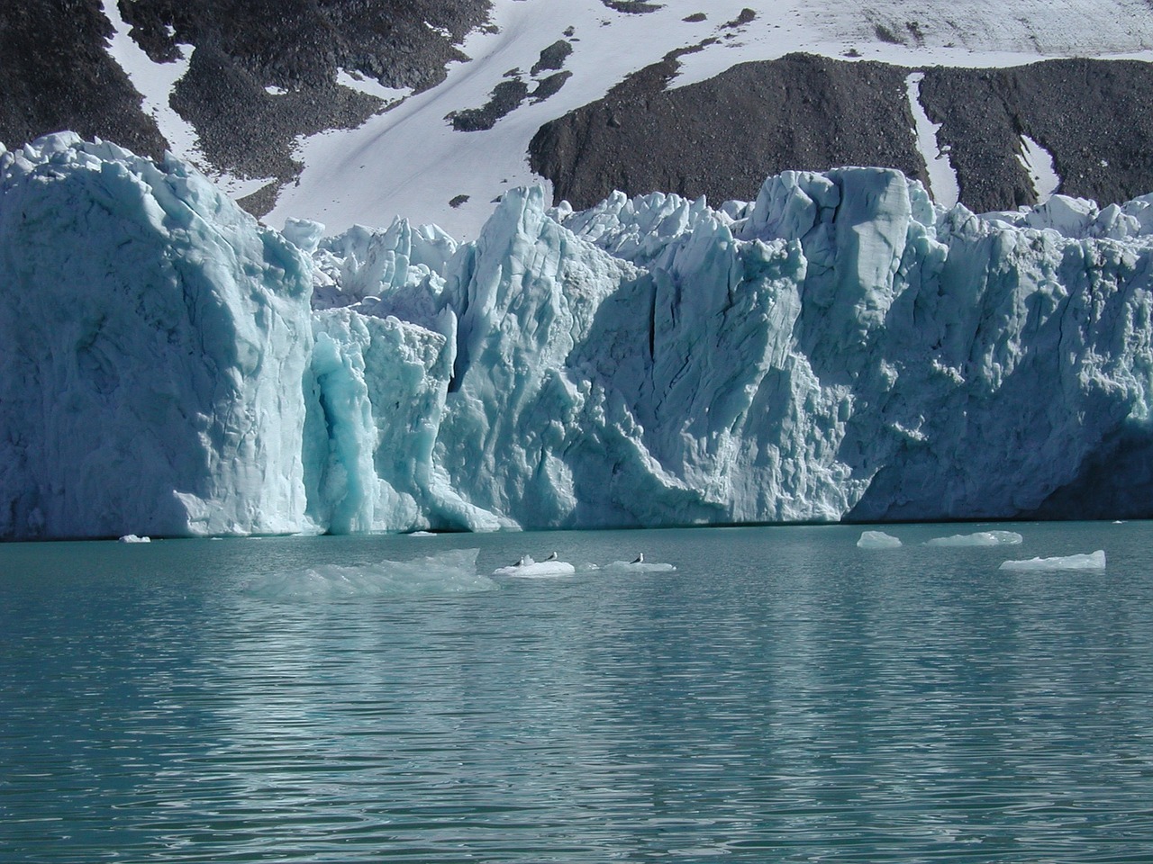 spitsbergen glacier ice free photo