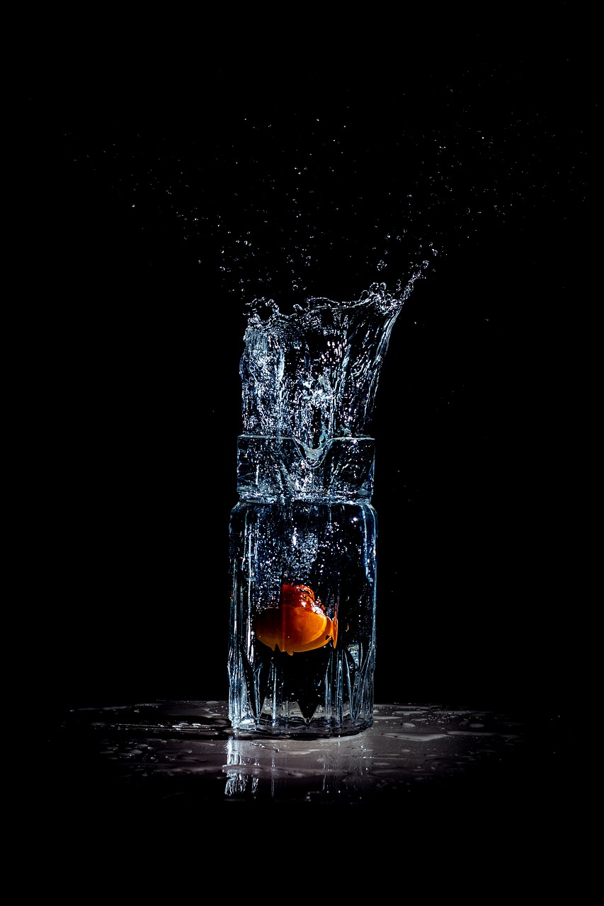splash water splash tomato in water free photo