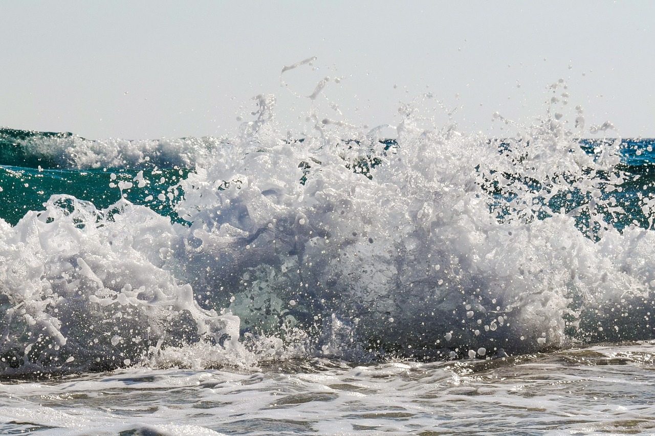 splash water drops free photo