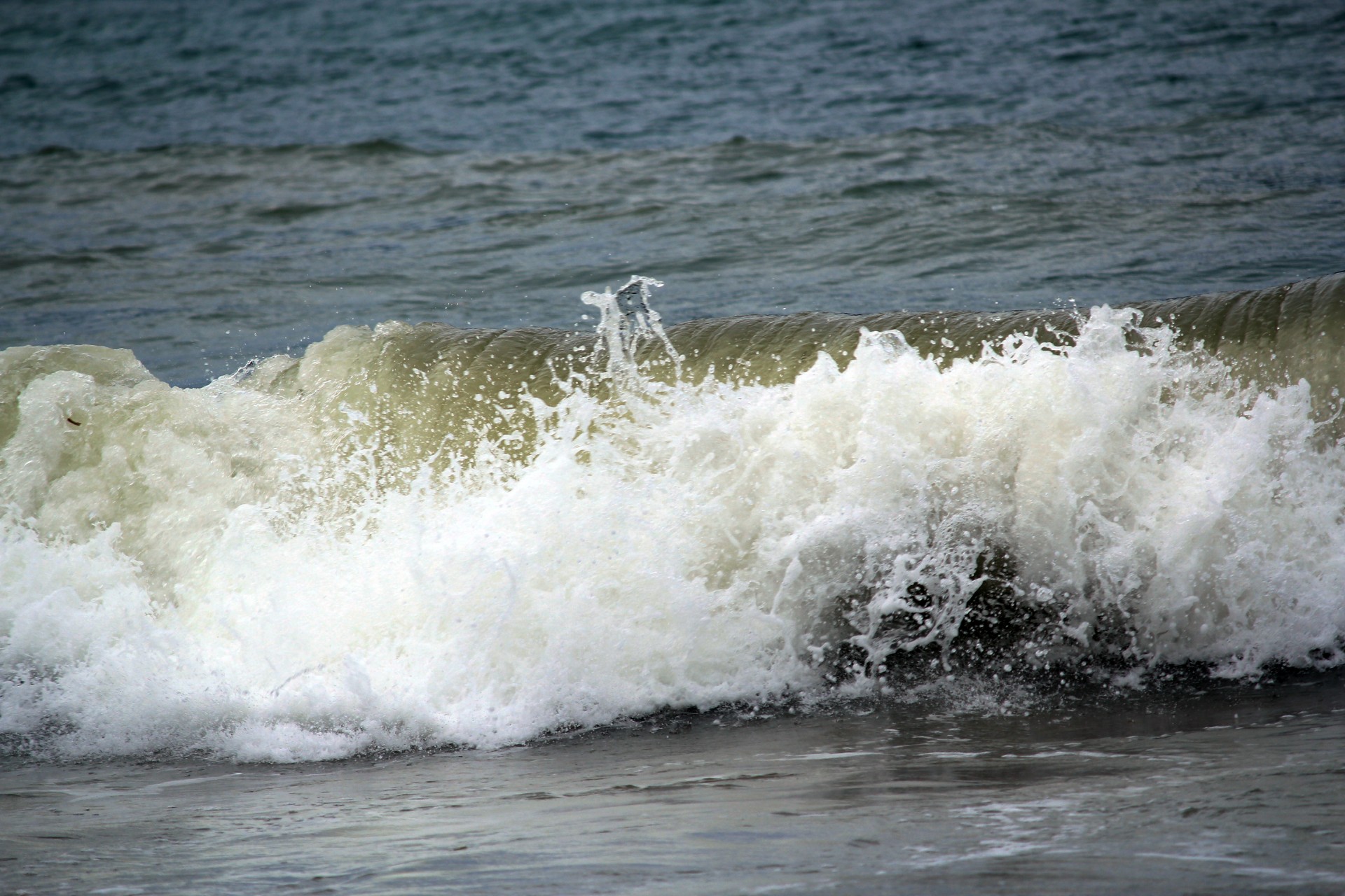 waves beach sea free photo