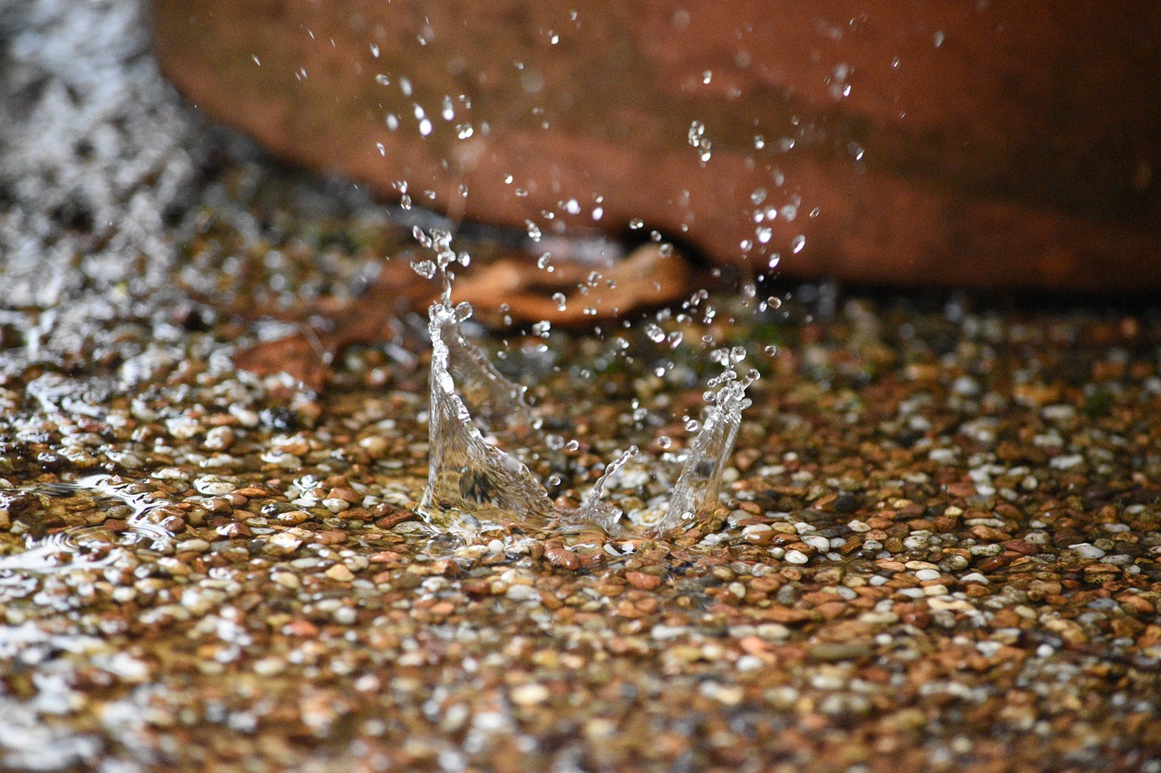 splash  raindrop  rain free photo