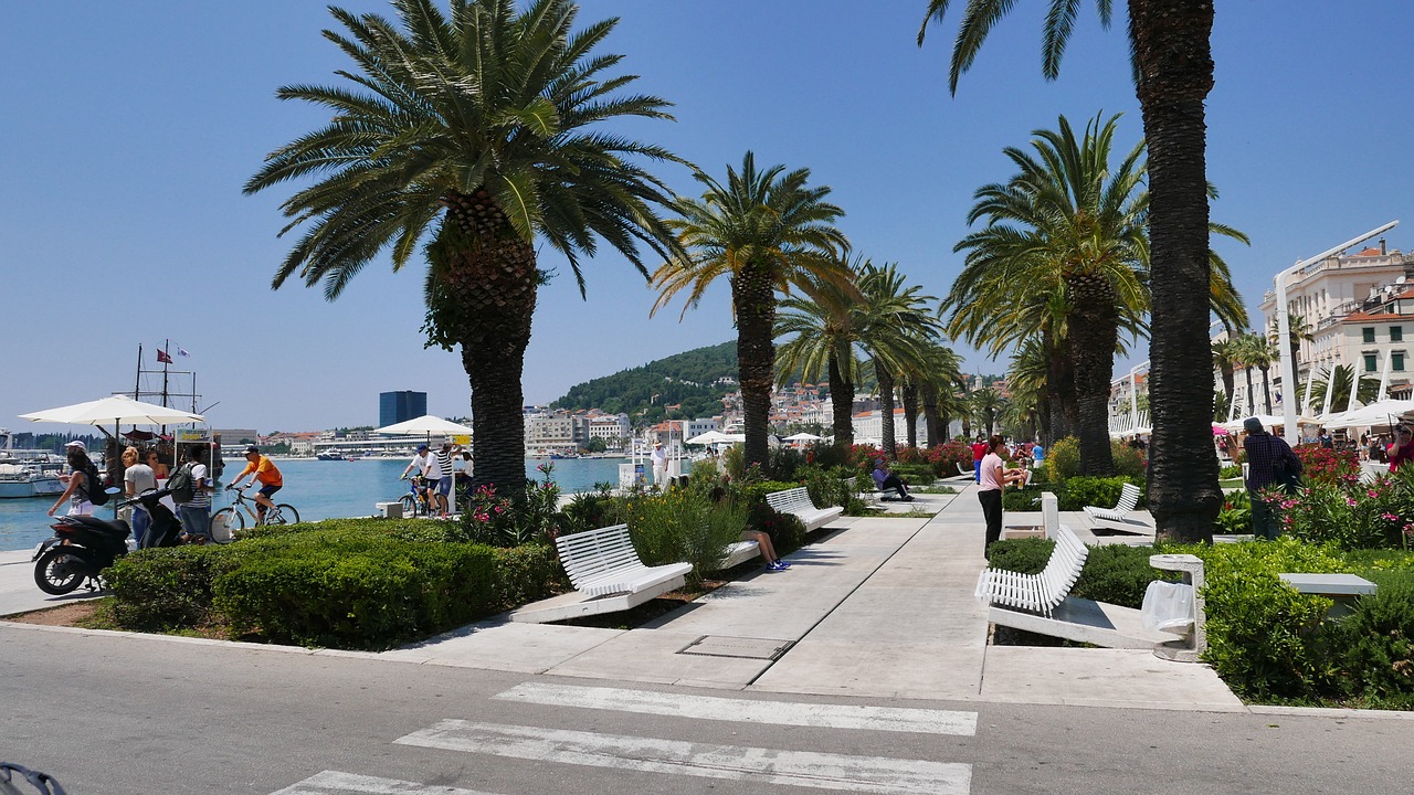 split beach promenade palms free photo