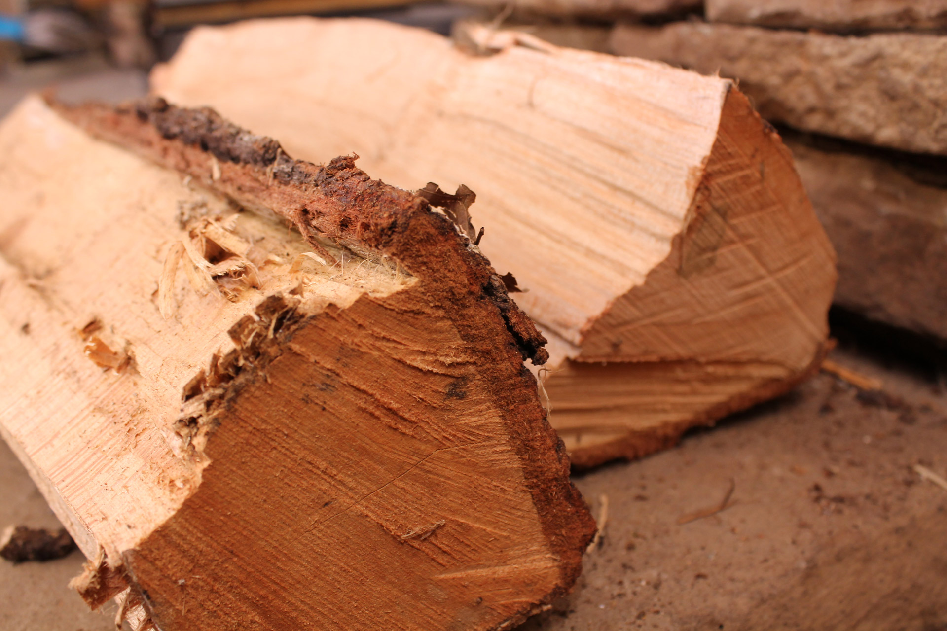 log logs wood free photo
