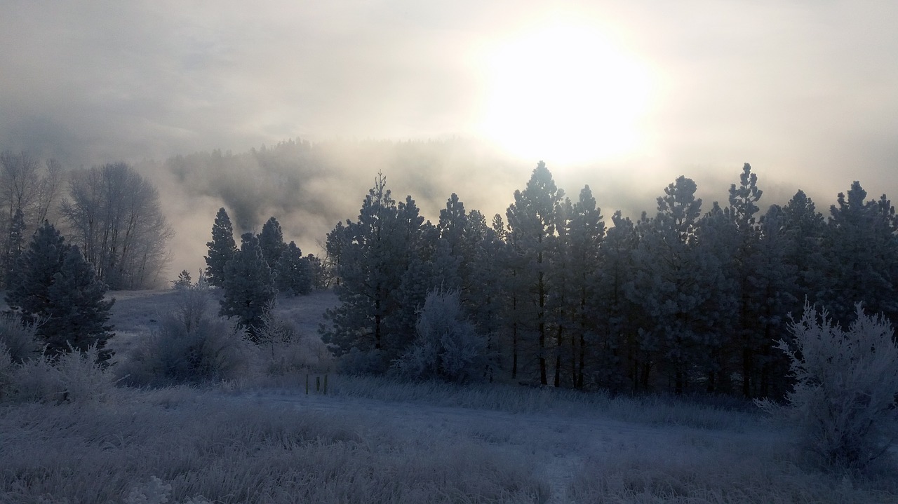 spokane river river winter free photo