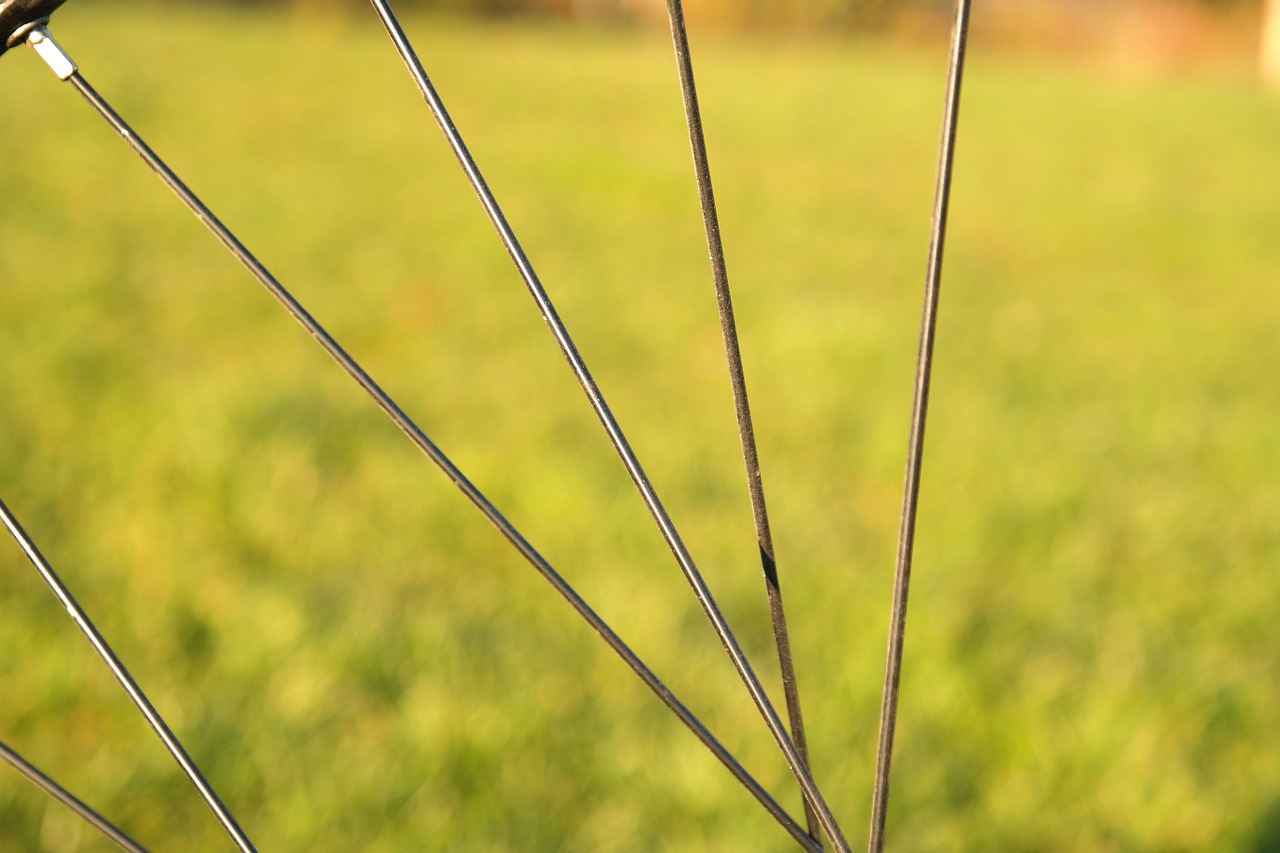 spokes bike bicycle spokes free photo