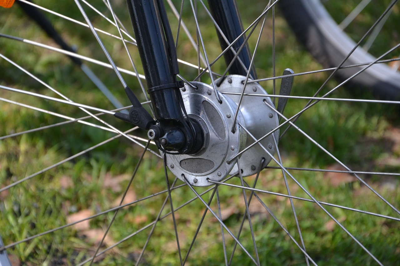 spokes bike by bike free photo