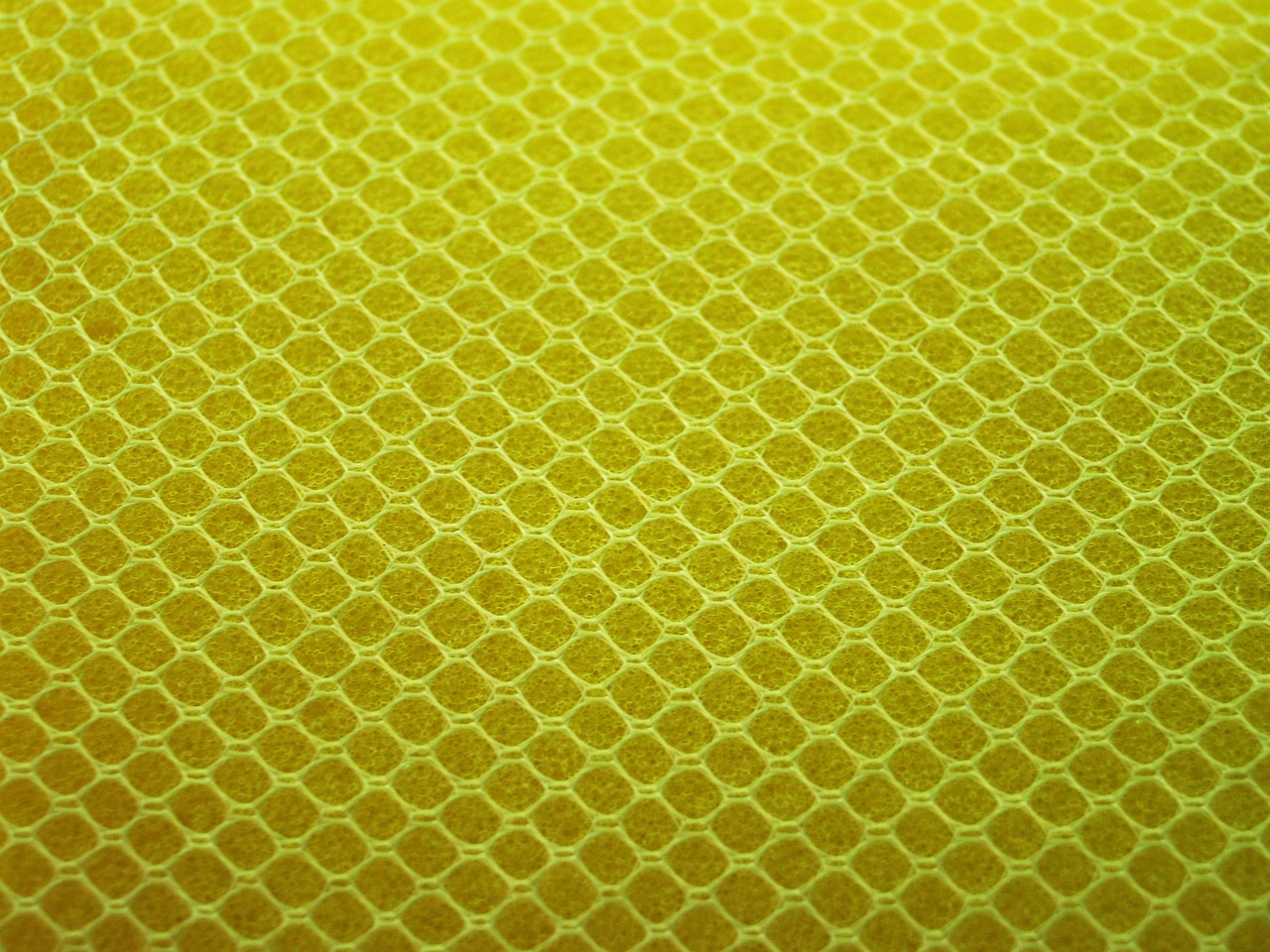 sponge yellow close free photo