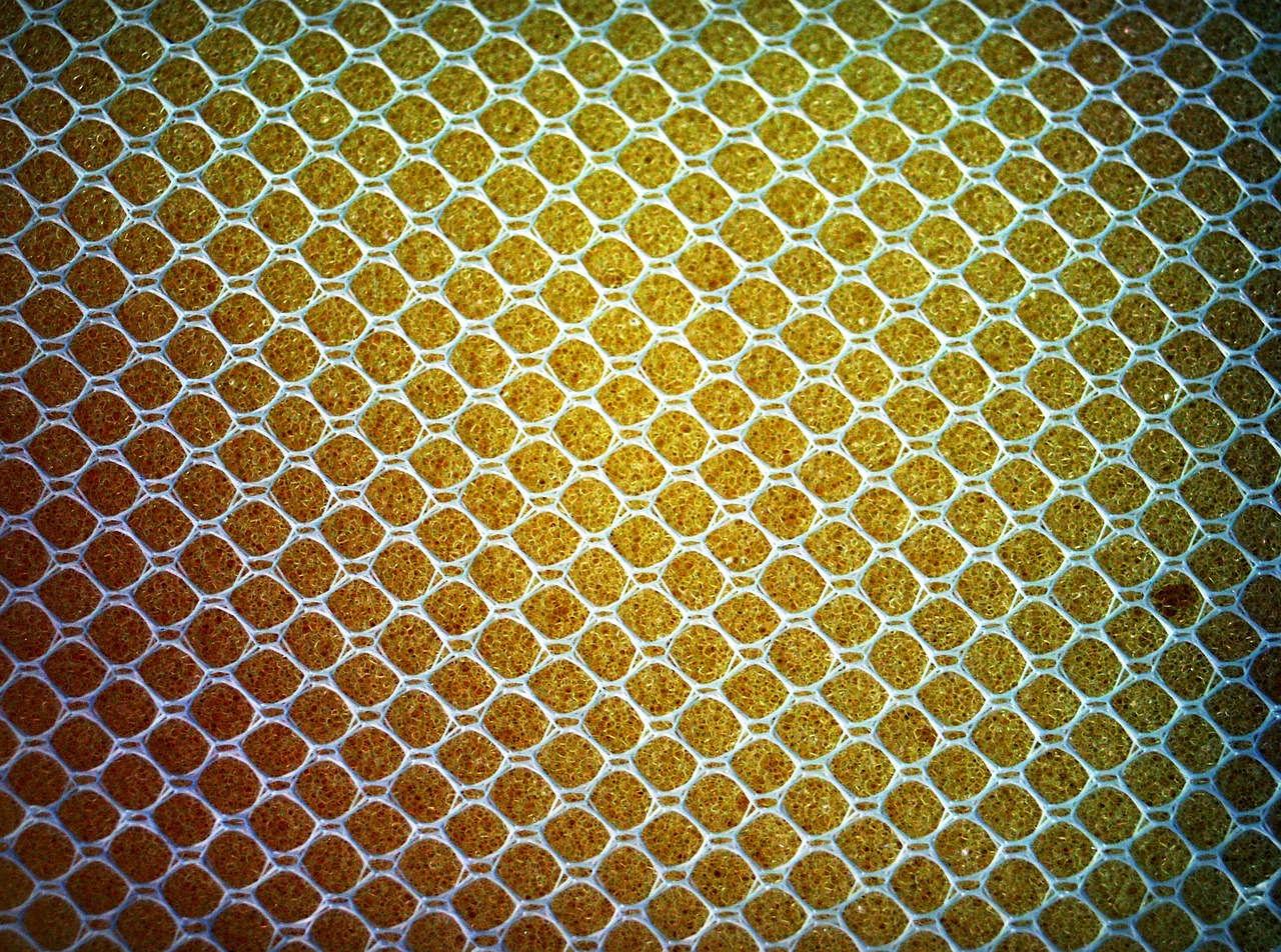 sponge yellow close free photo