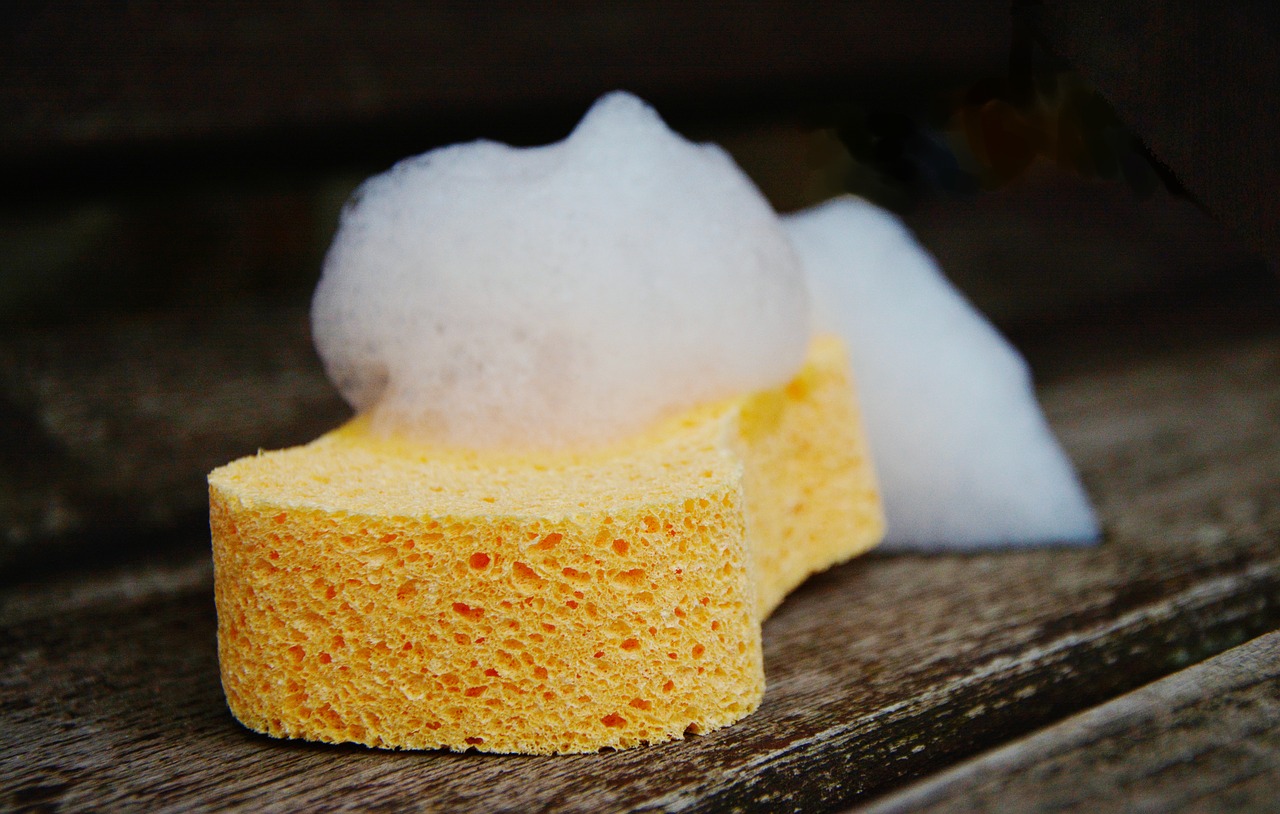 sponge foam clean free photo