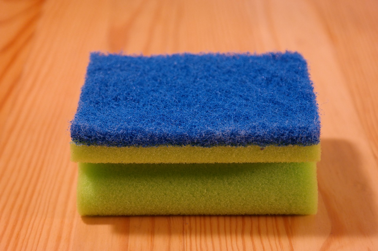 sponge clean rinse free photo
