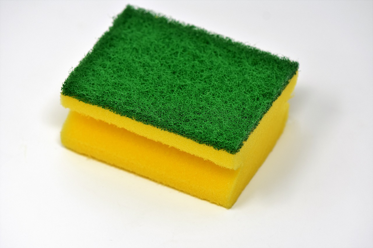 sponge cleaning sponge clean free photo