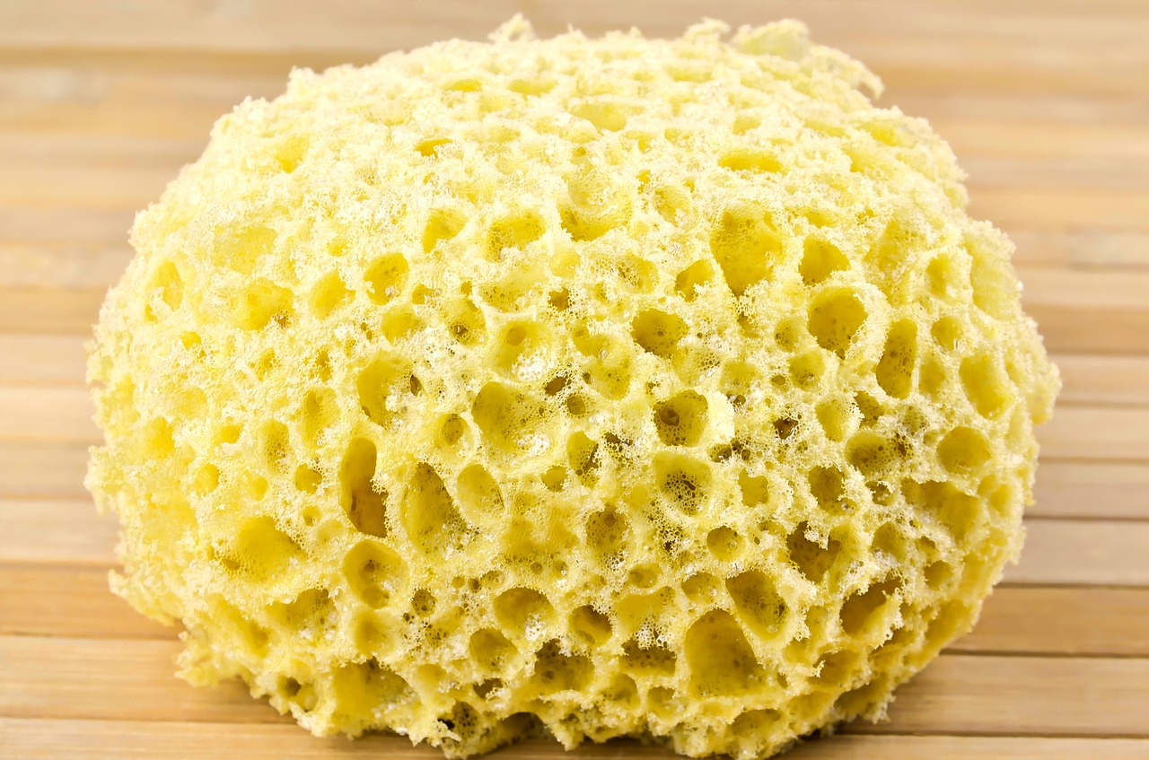 sponge for washing sponge cleaning free photo