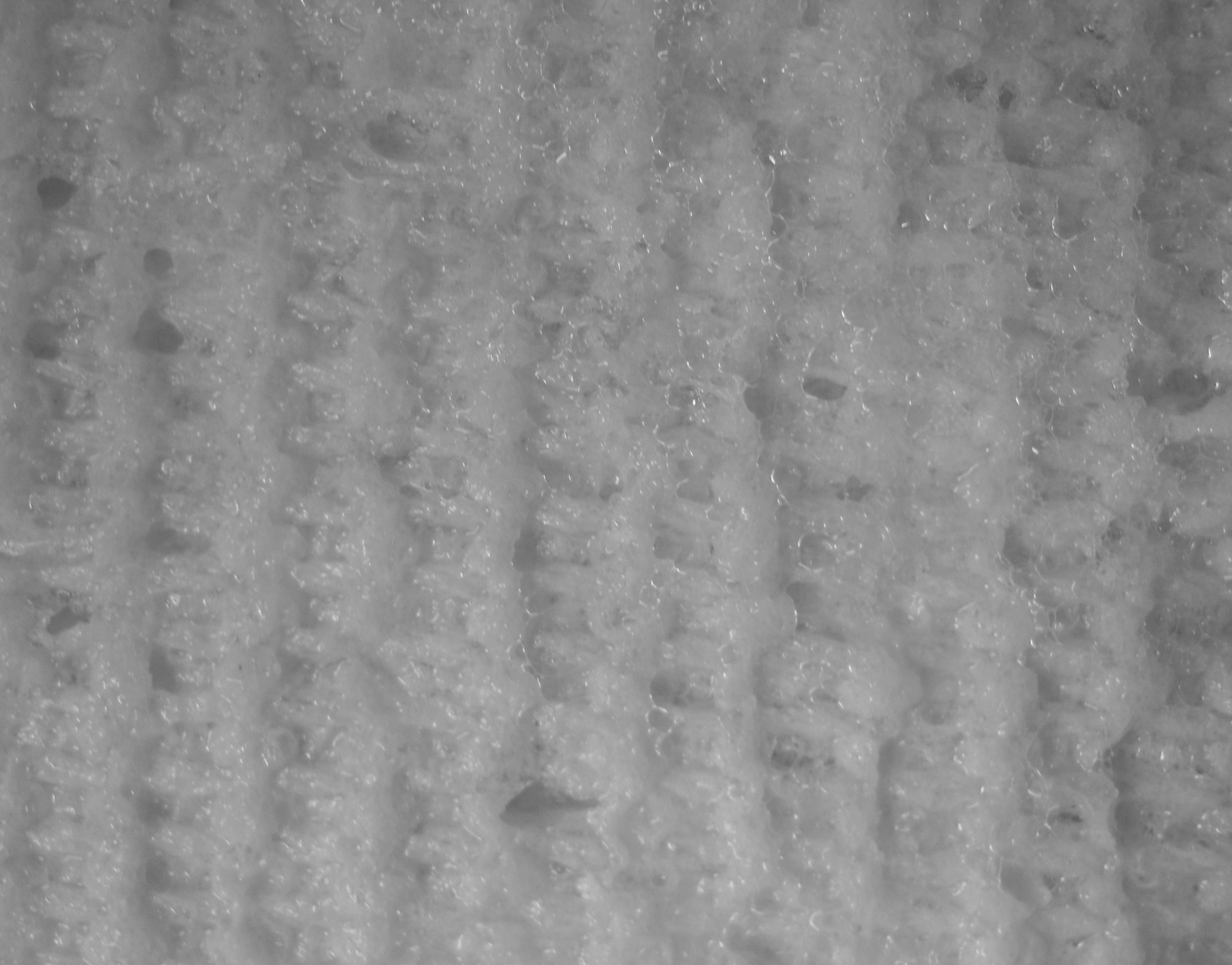 sponge texture b&w free photo