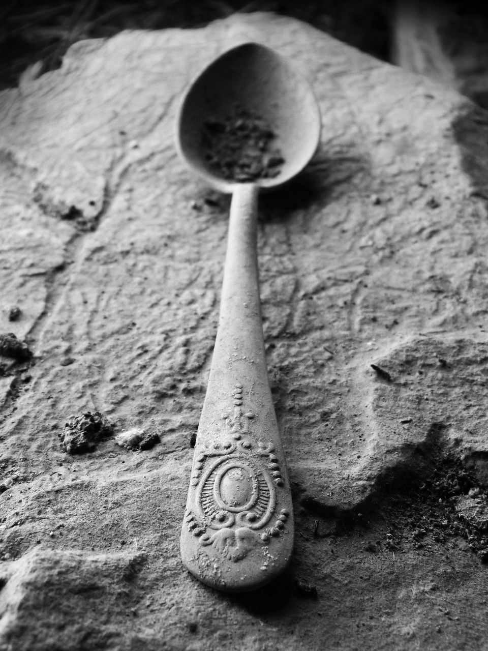 spoon alpaca old free photo