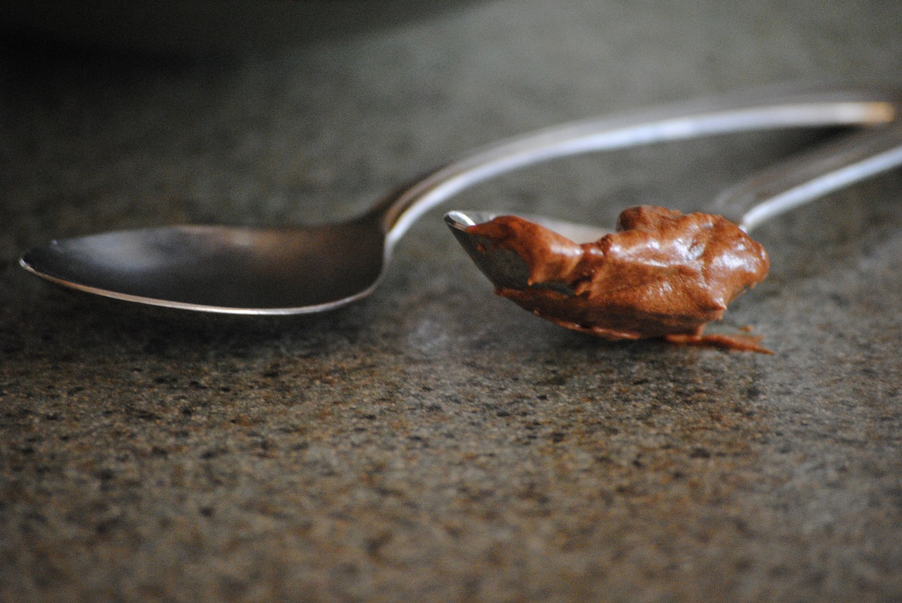 spoon chocolate digest free photo