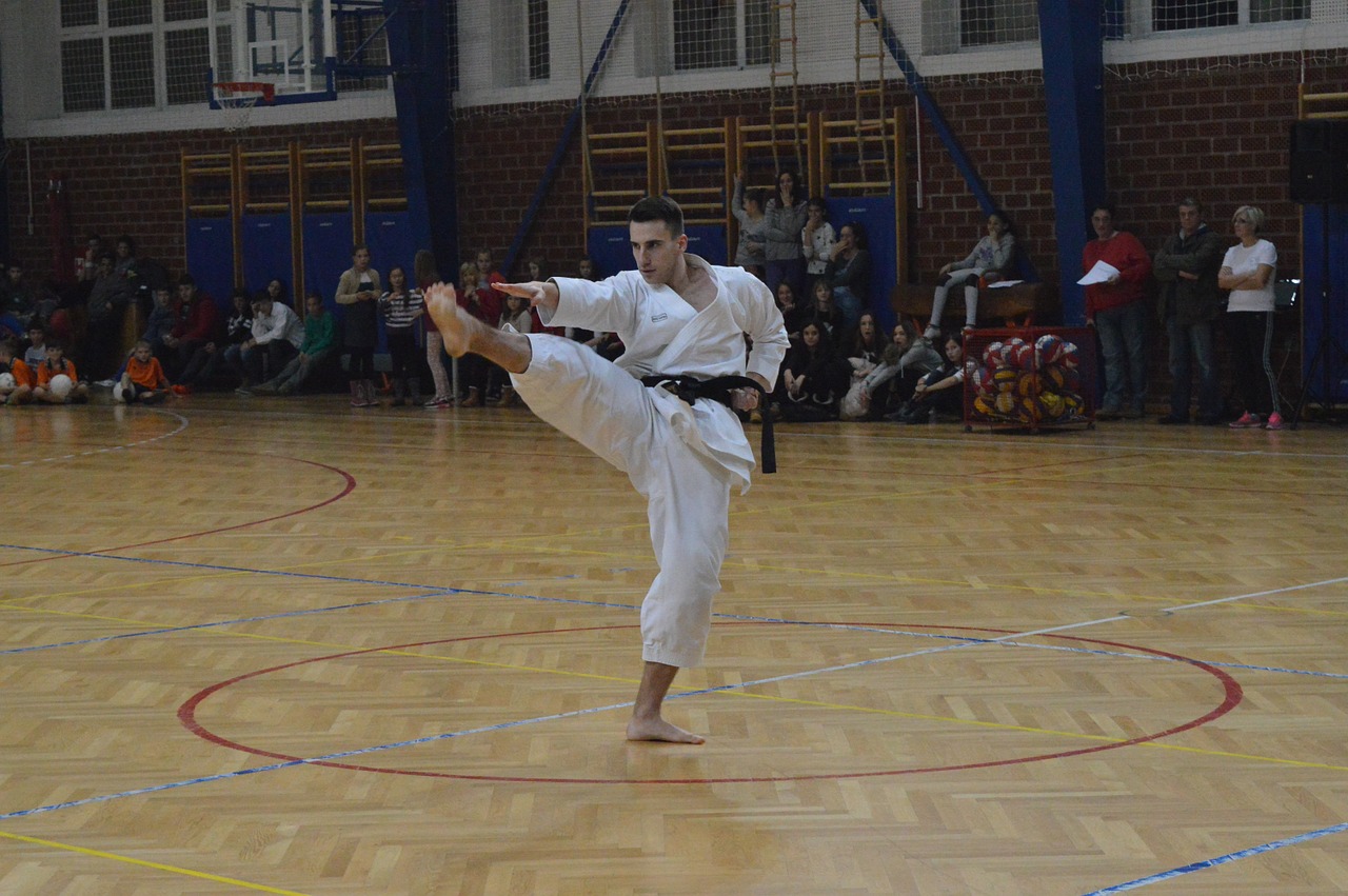 sport karate training free photo