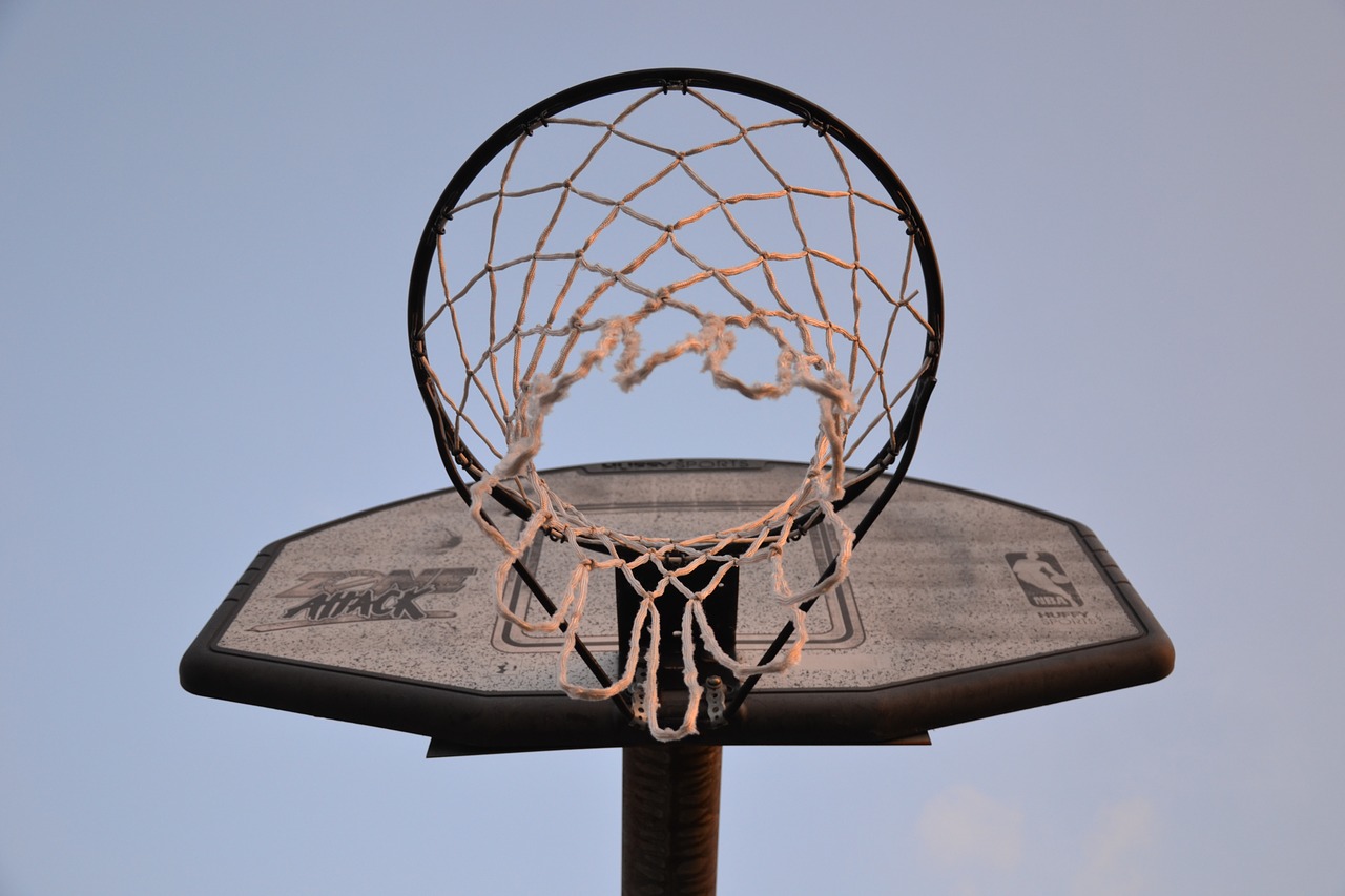 sport basketball basketball basket free photo