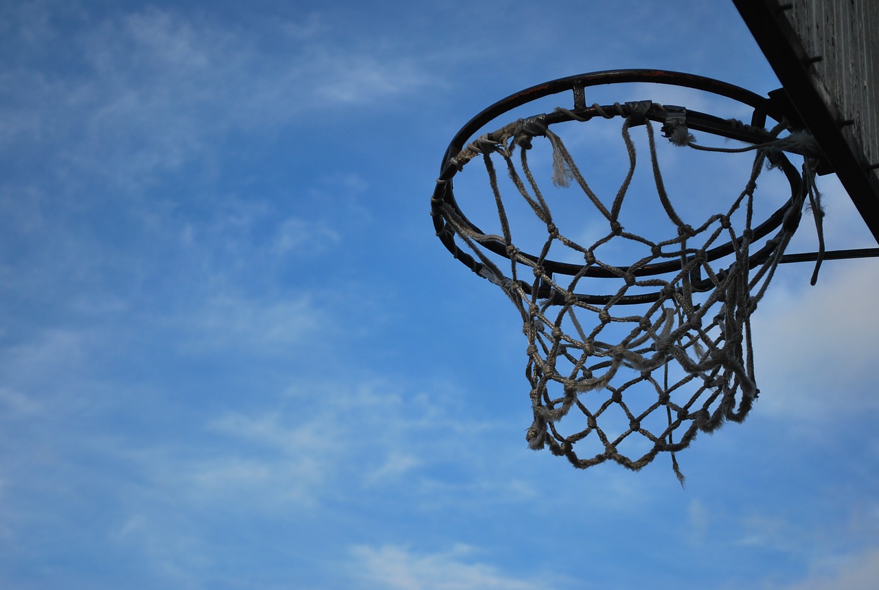 sport basket basketball free photo