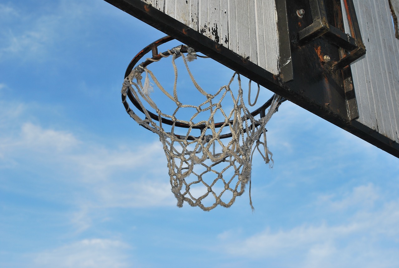 sport basket basketball free photo