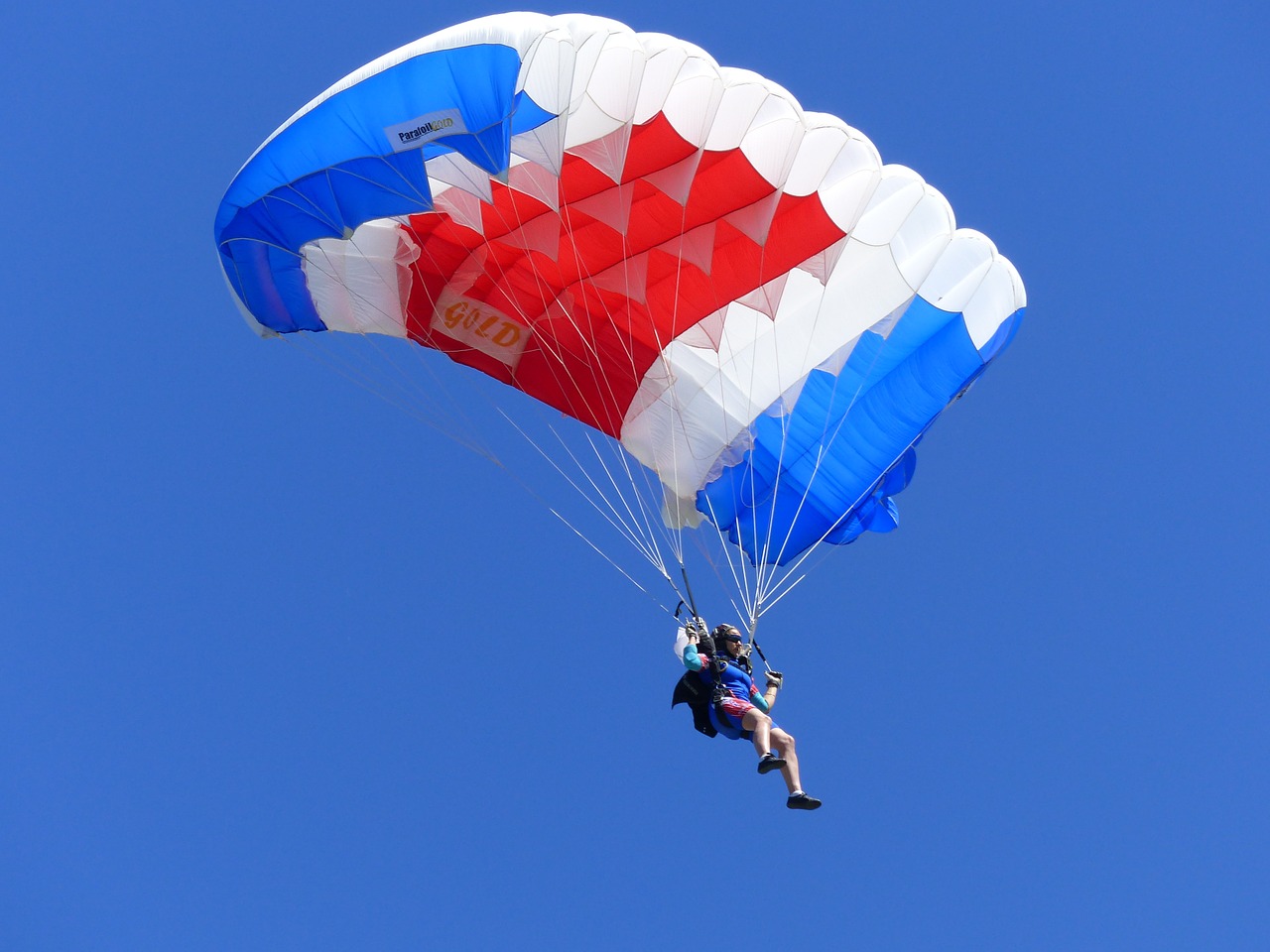 sport skydiving competition free photo