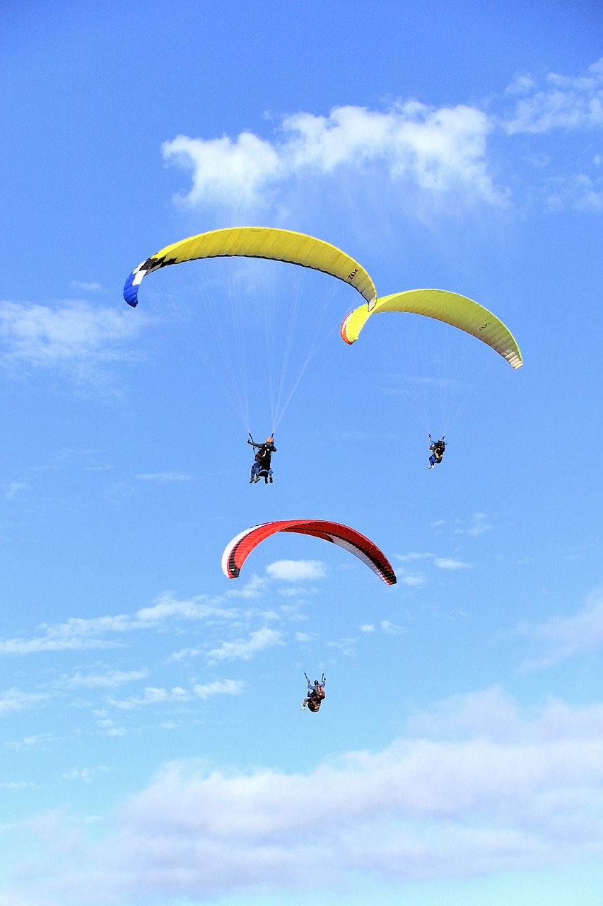 sport delta wing paragliding free photo