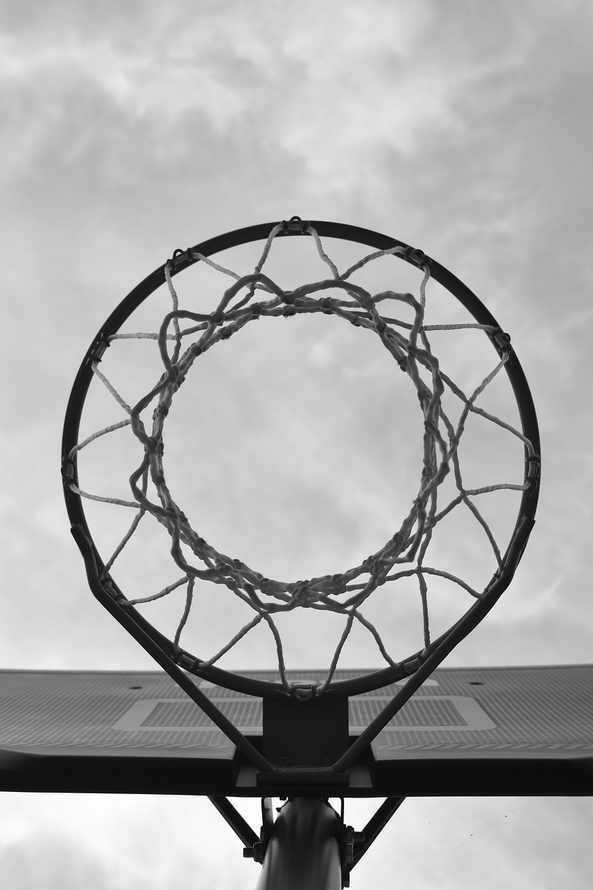 sport basketball basket free photo