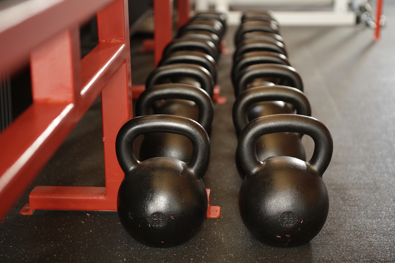 sport force weights free photo
