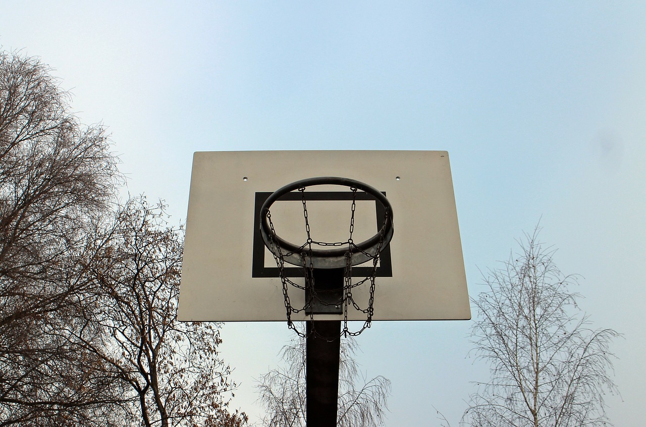sport basketball basket free photo