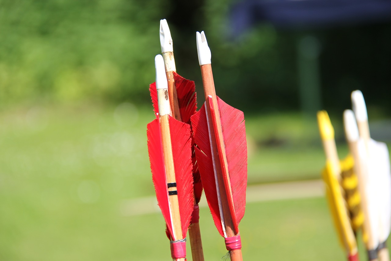 sport archery target free photo