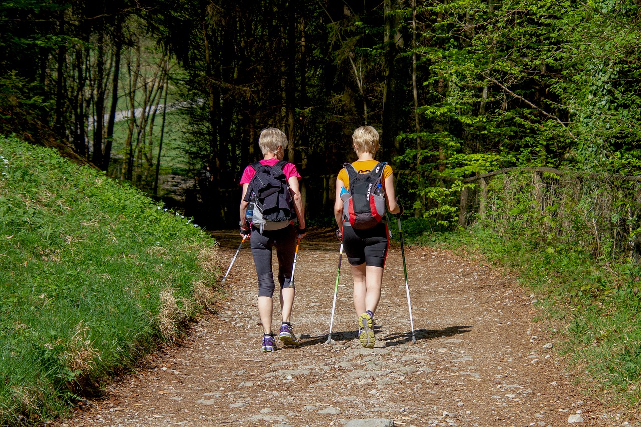 sport  nordic walking  woman free photo