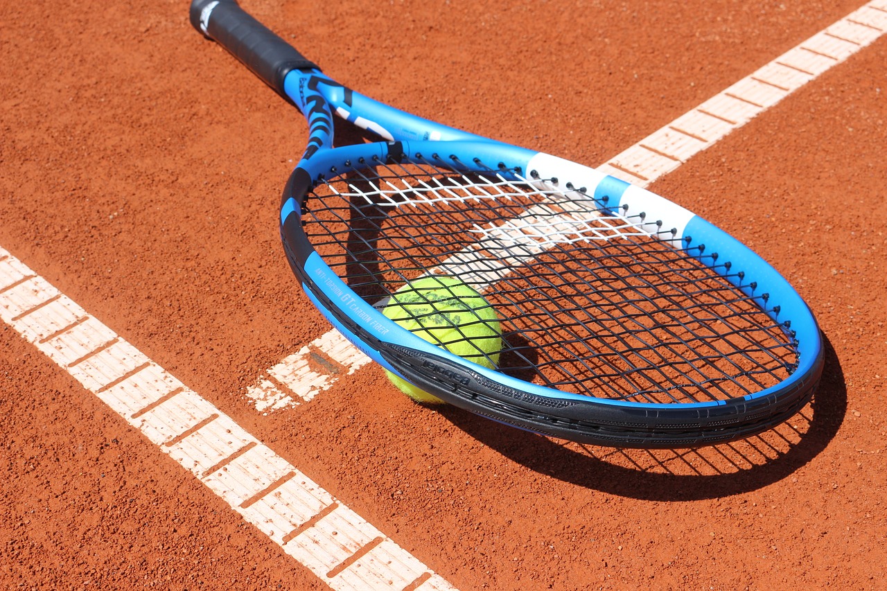 sport  equipment  tennis free photo