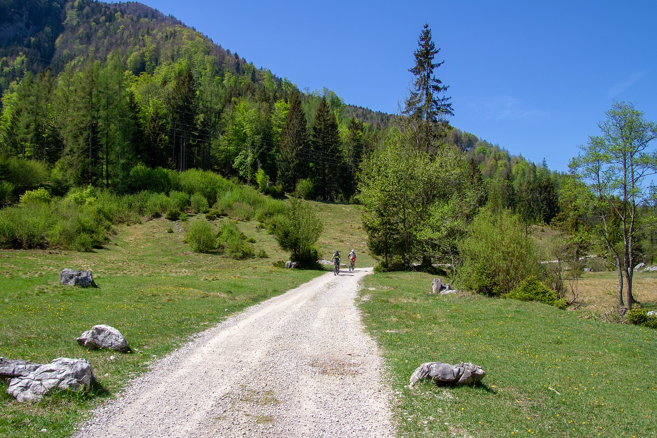 sport  mountain bike  nature free photo