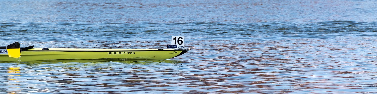 sport  regatta  rowing free photo