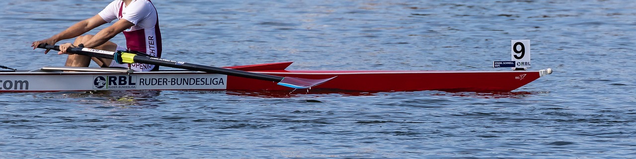 sport  regatta  rowing free photo