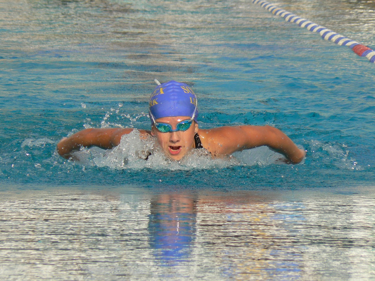 sport swimming butterfly free photo