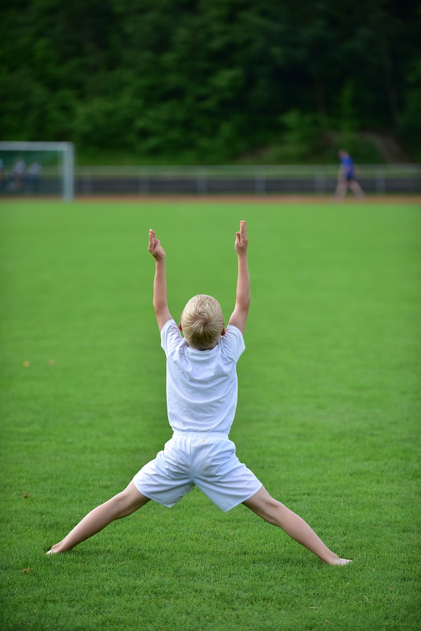 sport  gymnastics  competition free photo