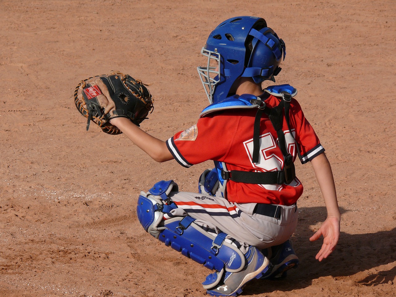 sport baseball catcher free photo