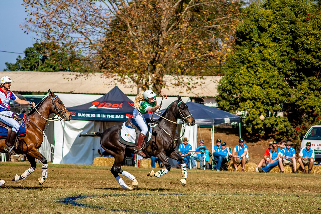 sport polo cross competition free photo